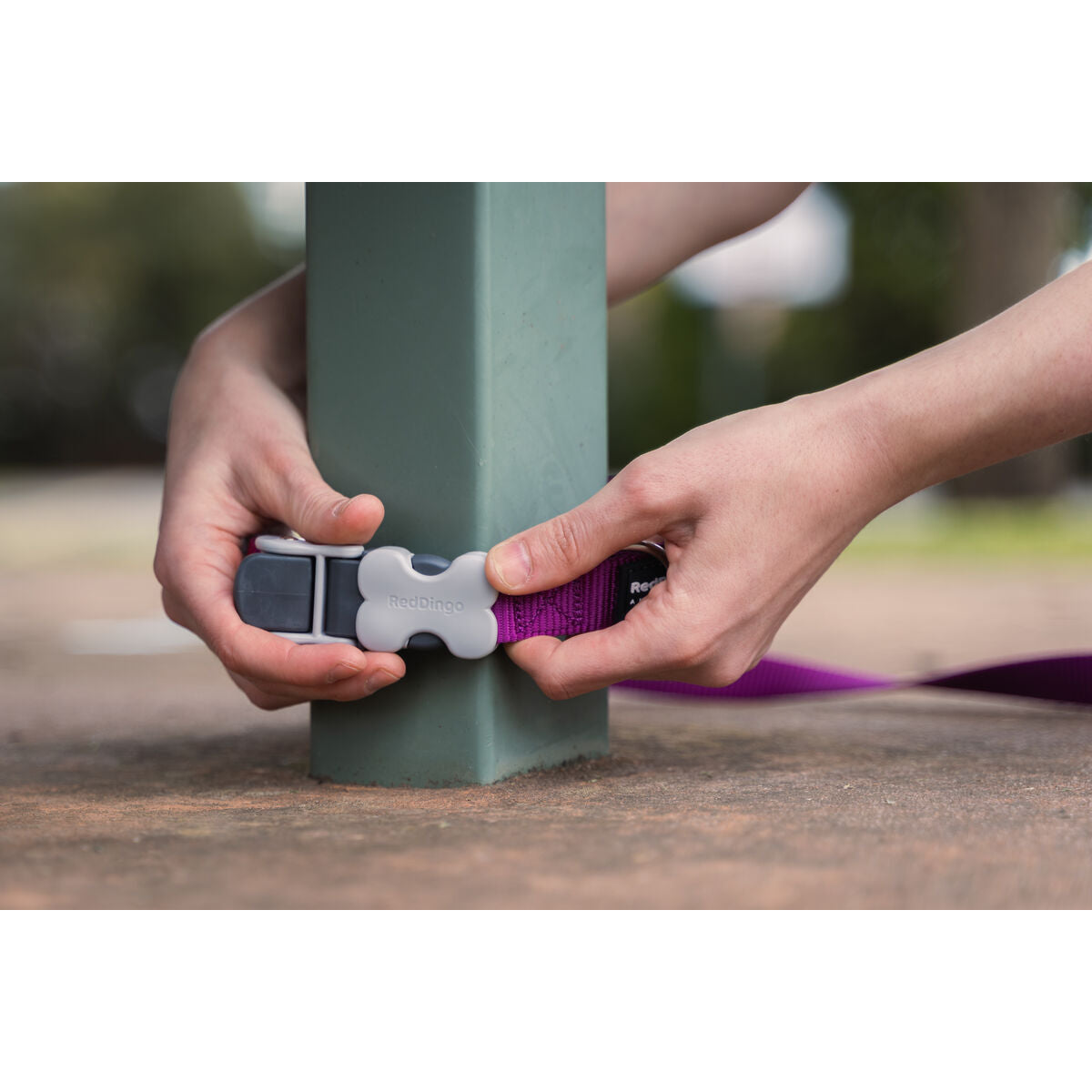 Dog Lead Red Dingo Black-6