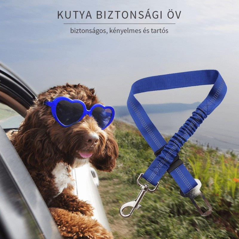 Kutya biztonsági öv-1