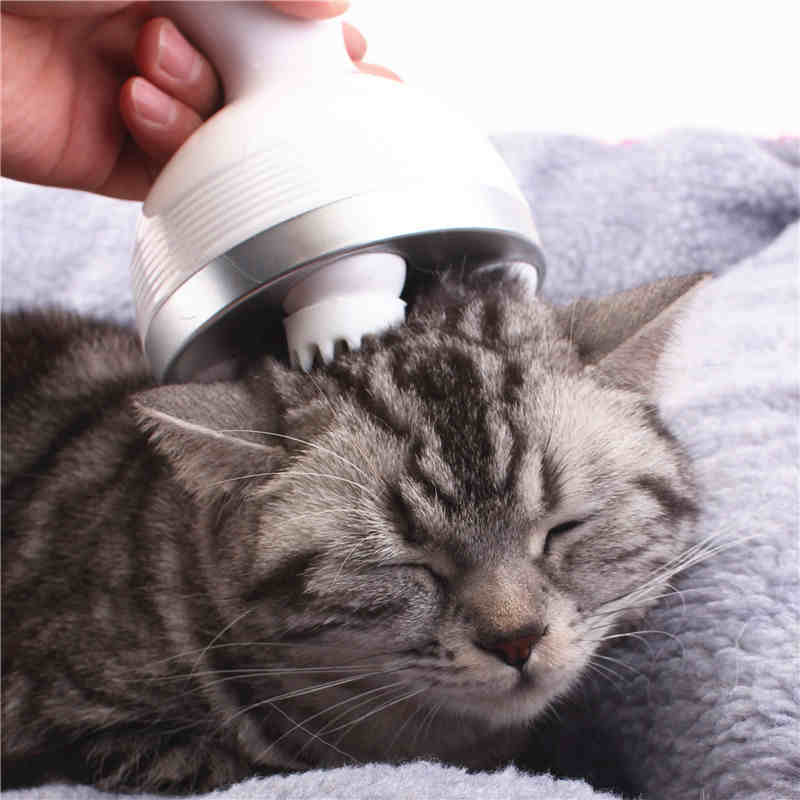 Meowssage Cica masszírozó