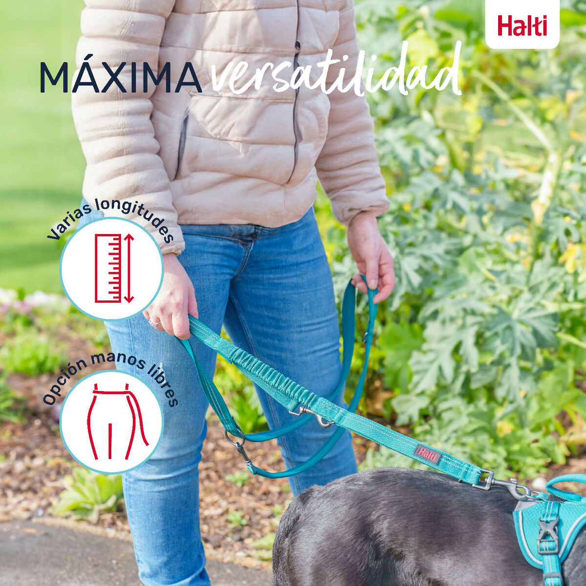 Dog Lead Company of Animals Green L-2