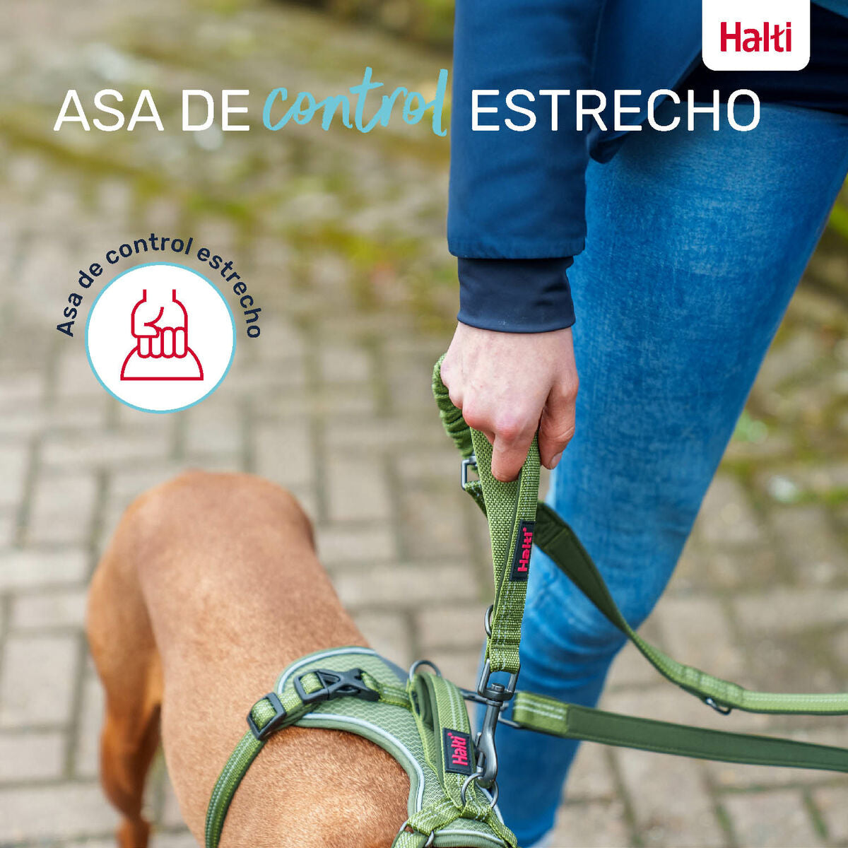 Dog Lead Company of Animals Green L-1