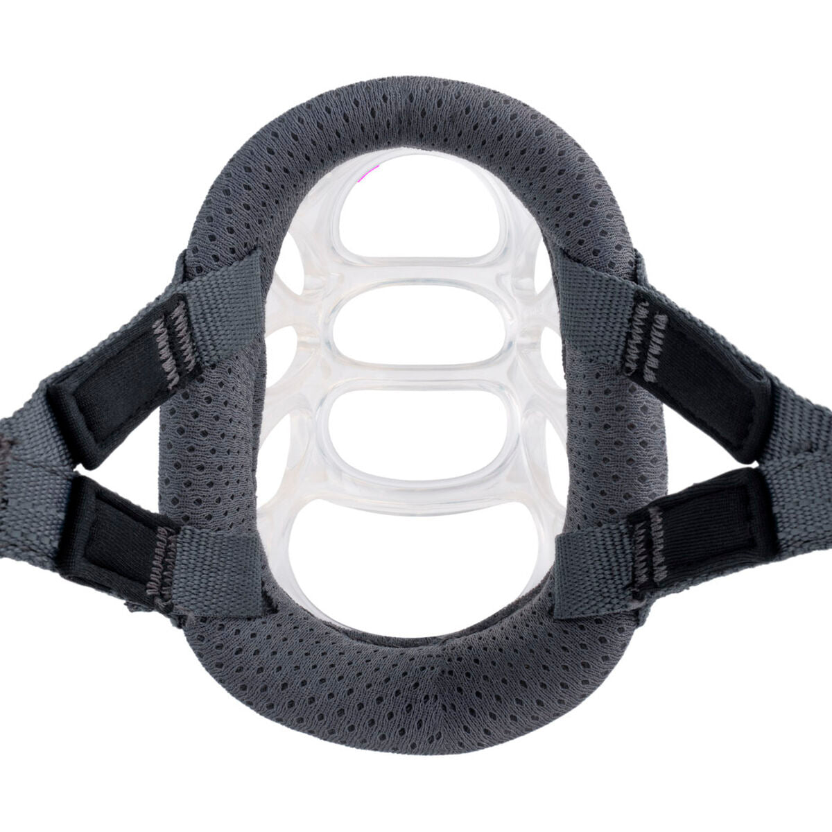 Muzzle Company of Animals Transparent 3-3
