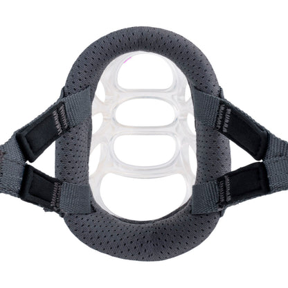 Muzzle Company of Animals Transparent 3-3