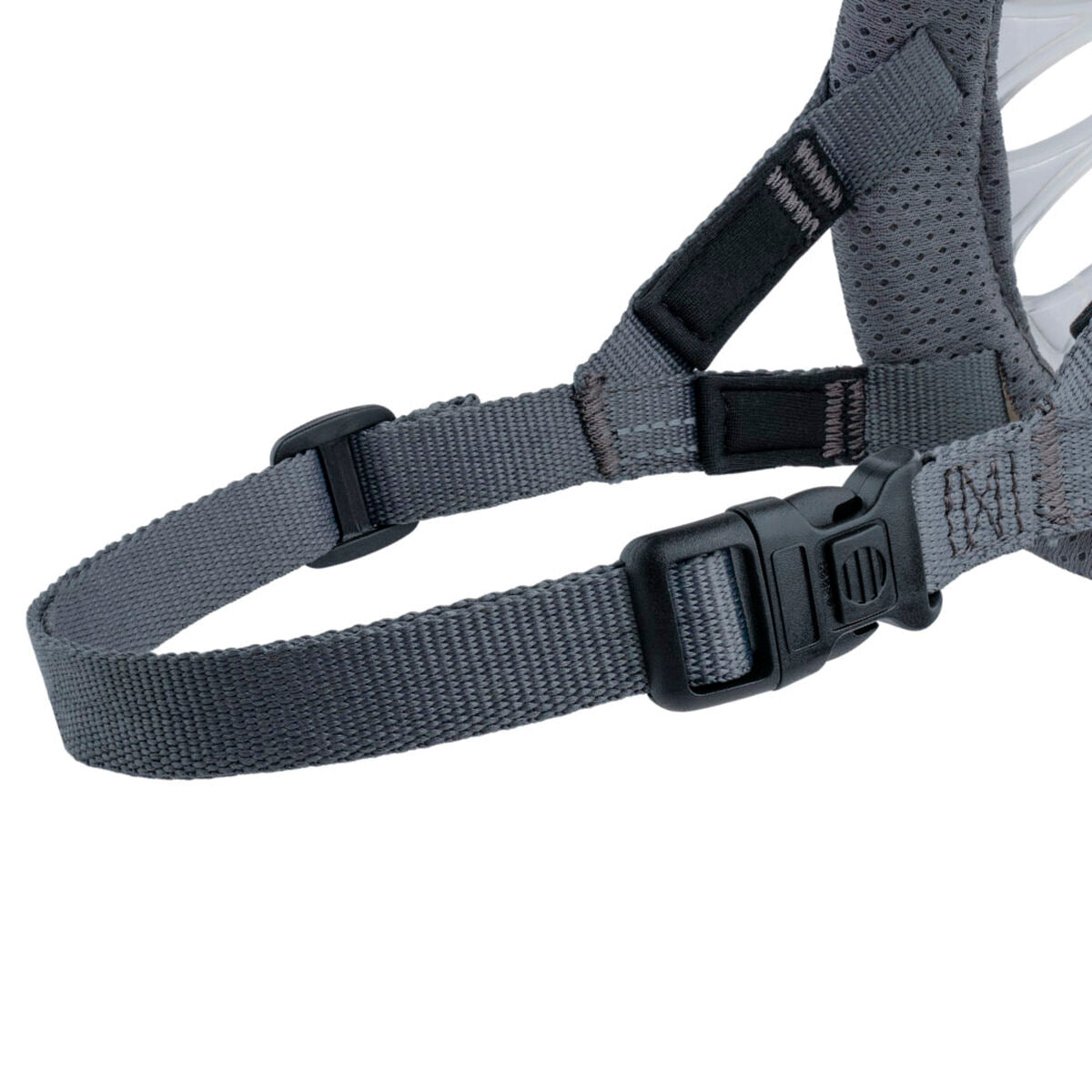 Muzzle Company of Animals Transparent 3-2