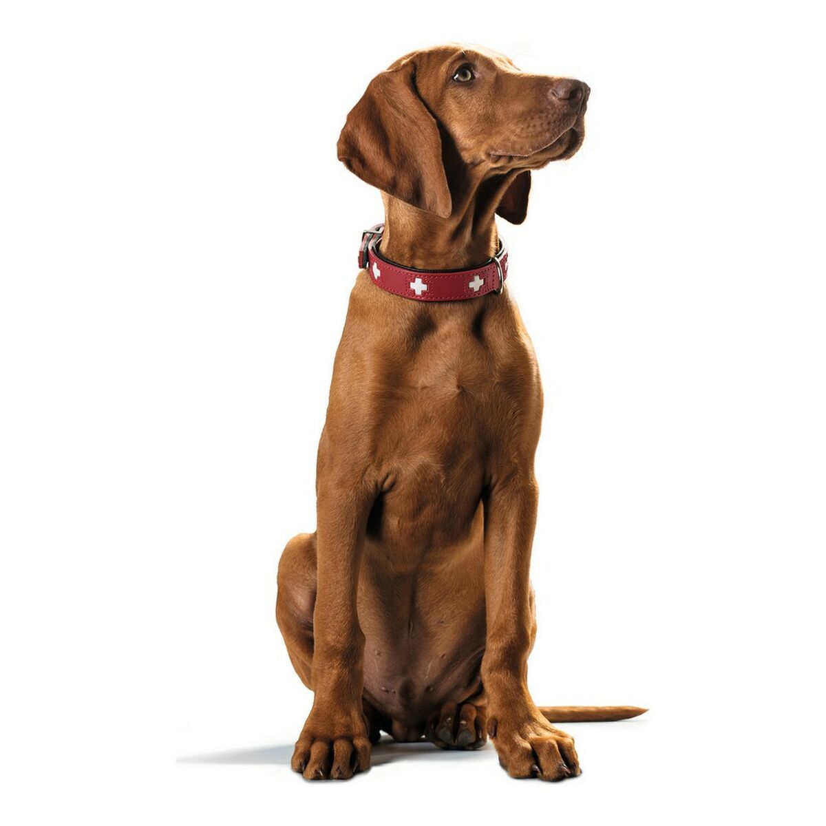 Dog collar Hunter Swiss Red/Black 30-34.5 cm-3