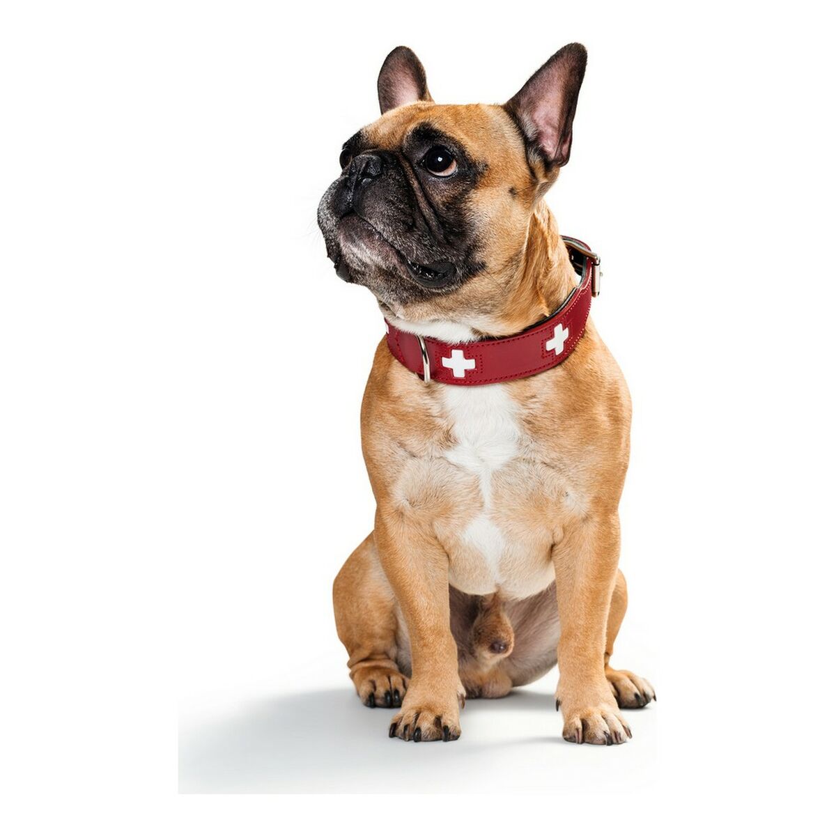Dog collar Hunter Swiss Red/Black 30-34.5 cm-2