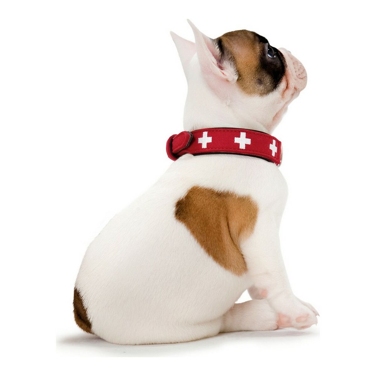 Dog collar Hunter Swiss Red/Black 30-34.5 cm-1