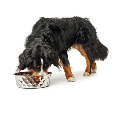 Dog Feeder Hunter Silicone Stainless steel 550 ml-6