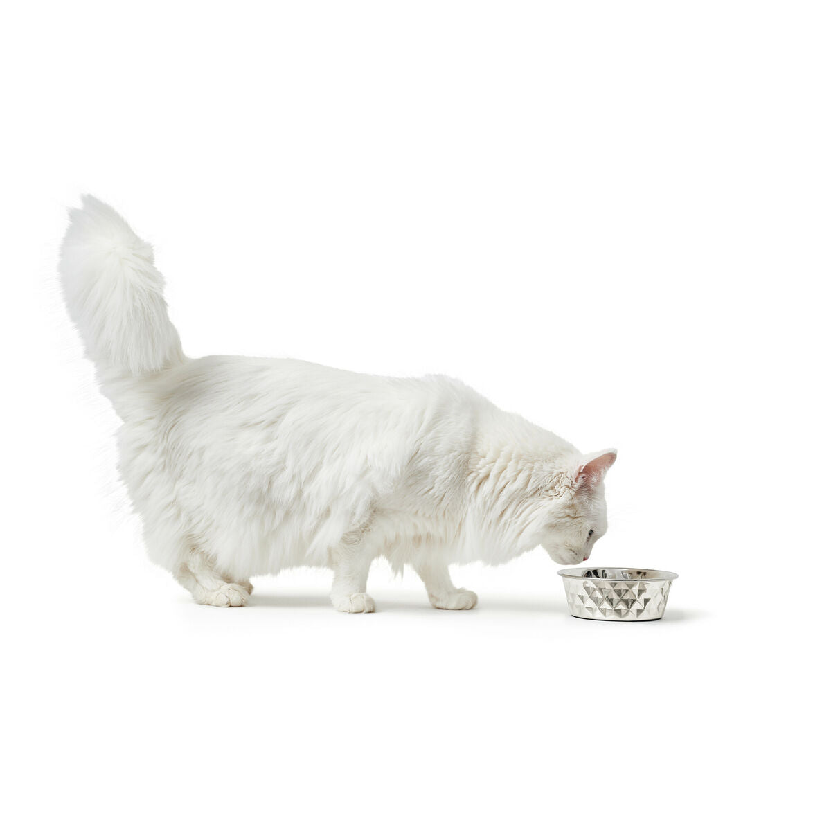 Dog Feeder Hunter Silicone Stainless steel 550 ml-5
