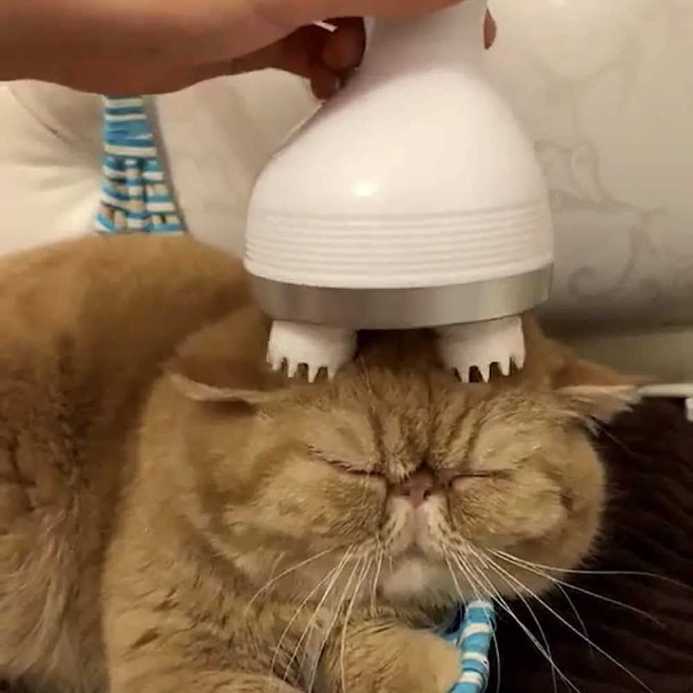 Meowssage Cica masszírozó