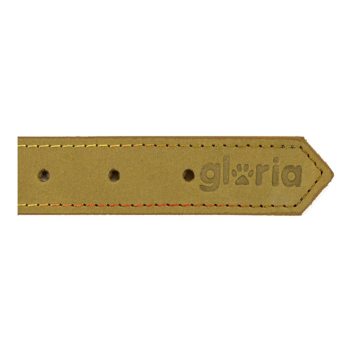 Dog collar Gloria Oasis Green (50 x 2,1 cm)-1