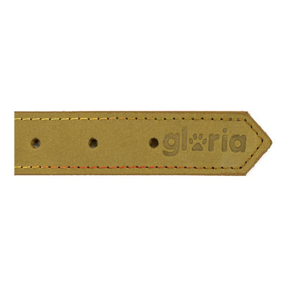 Dog collar Gloria Oasis Green (50 x 2,1 cm)-1