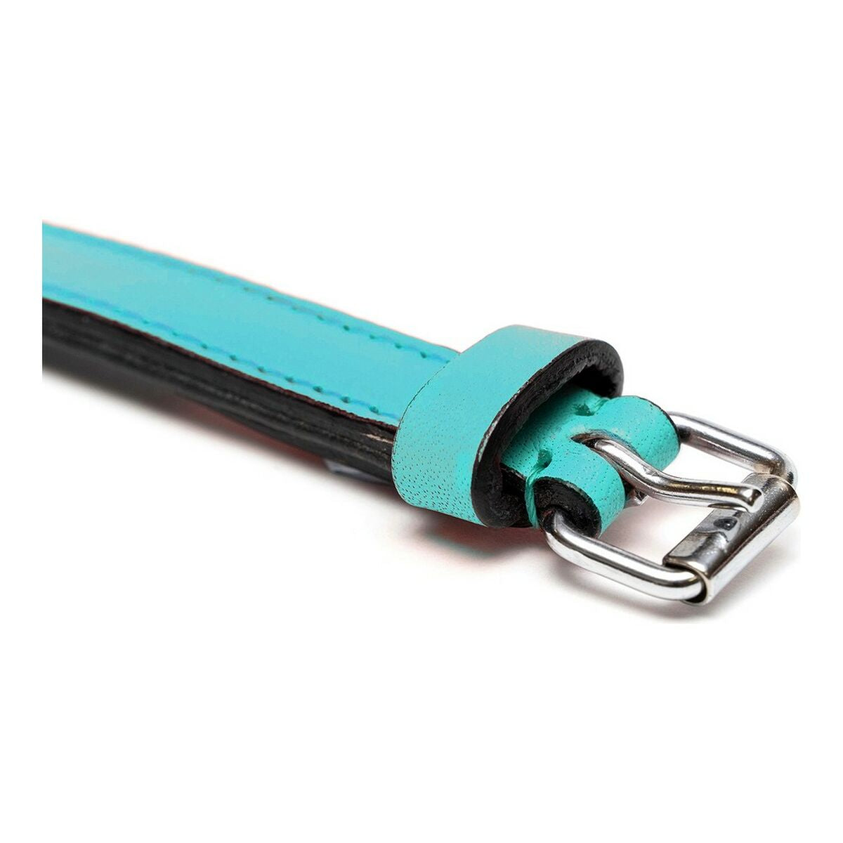 Dog collar Gloria Padded Turquoise 55 cm (55 x 2,5 cm)-4