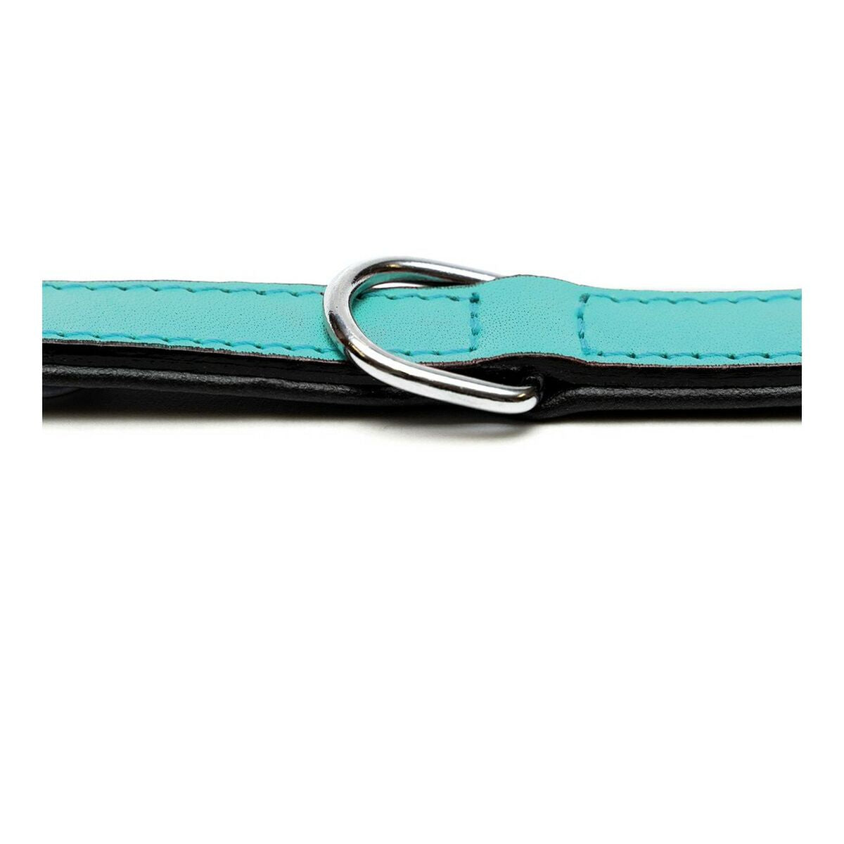 Dog collar Gloria Padded Turquoise 55 cm (55 x 2,5 cm)-2