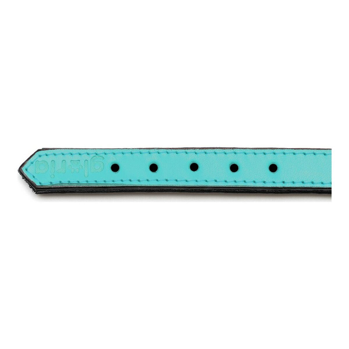 Dog collar Gloria Padded Turquoise 55 cm (55 x 2,5 cm)-1