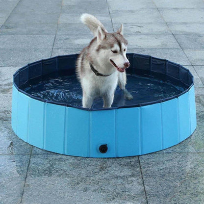 Piscina pentru caini-4